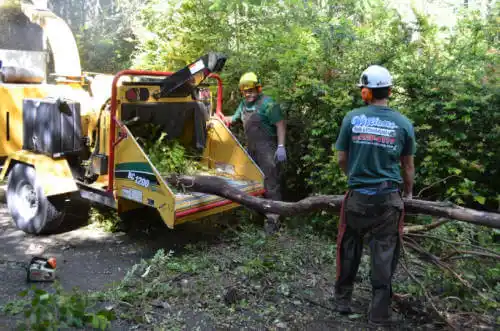 tree services Woodburn